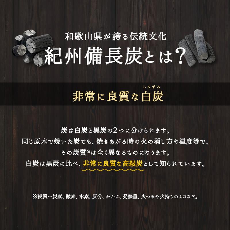 備長炭 浄水 紀州備長炭切細丸 二袋セット 国産 100g×2 白炭 和歌山