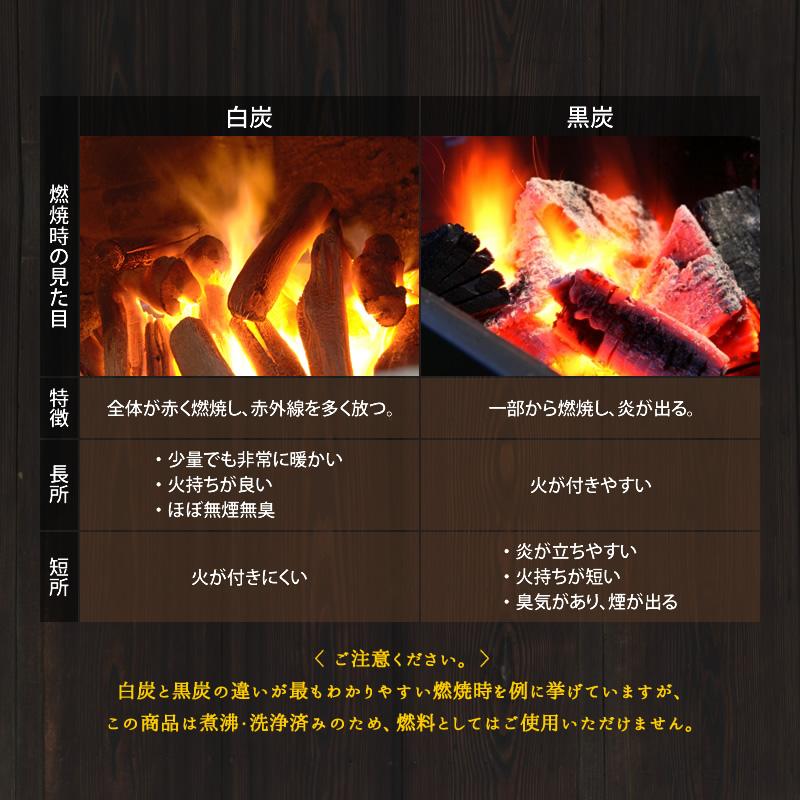 備長炭 浄水 紀州備長炭切細丸 二袋セット 国産 100g×2 白炭 和歌山