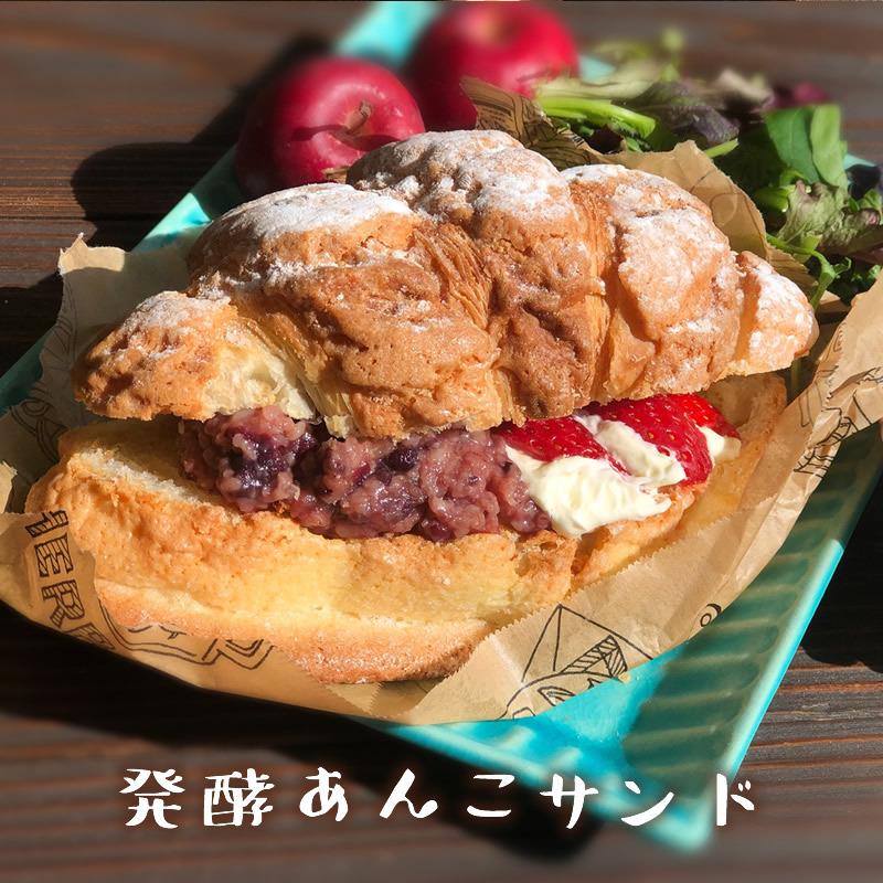 発酵 あんこ 発酵あんこセット 無添加 和スイーツ 小豆 あずき 米麹 砂糖不使用 人気 発酵器  おすすめ メール便対応1通1個 |  | 07