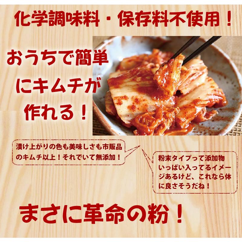 手作りキムチ キムチ革命 キムチの素 粉 粉末 無添加 人気 おすすめ Kimuchikakumei 無添加食品 発酵食品のお店 樽の味 通販 Yahoo ショッピング