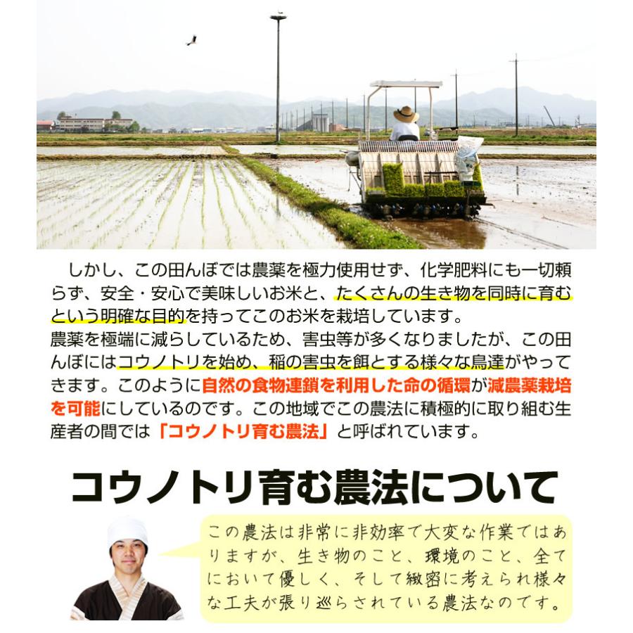米麹 無添加 減農薬『コウノトリ育む米麹×10袋セット』300g×10個 乾燥タイプ 甘酒用 米糀 国産 こうじ 麹 糀 こうじ 人気 おすすめ 爆買_3