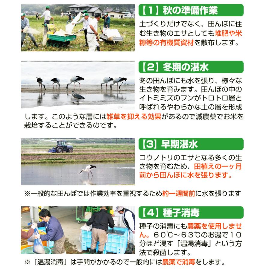 米麹 無添加 減農薬『コウノトリ育む米麹×10袋セット』300g×10個 乾燥タイプ 甘酒用 米糀 国産 こうじ 麹 糀 こうじ 人気 おすすめ 爆買_4