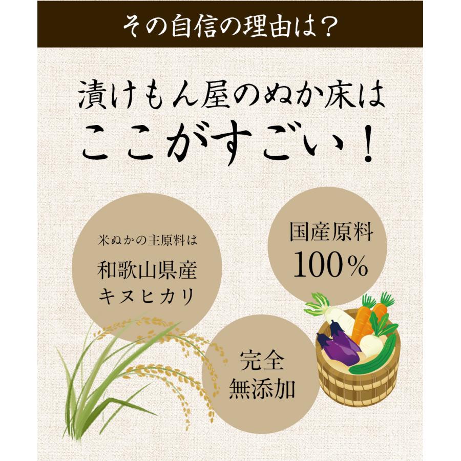 『ぬか床カンタンお試しセット』 ぬか床 1.6kg 無添加 漬物 ぬか漬け ぬかみそ 容器 セット 簡単 冷蔵庫 人気 おすすめ｜tarunoaji｜11