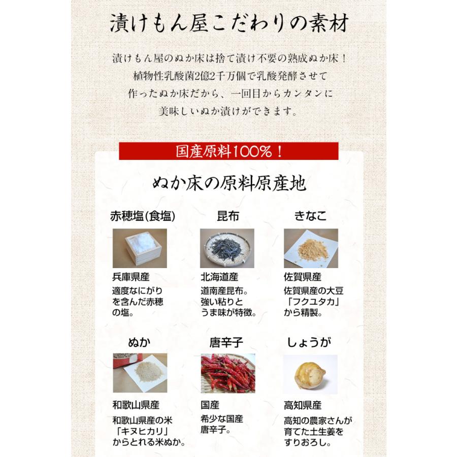 ぬか床 容器 ぬか床カンタンお試しセット 樽の味 漬物 国産原料 糠床 冷蔵庫 ぬか床容器 ぬか床 人気 おすすめ 爆買 | 樽の味 | 11