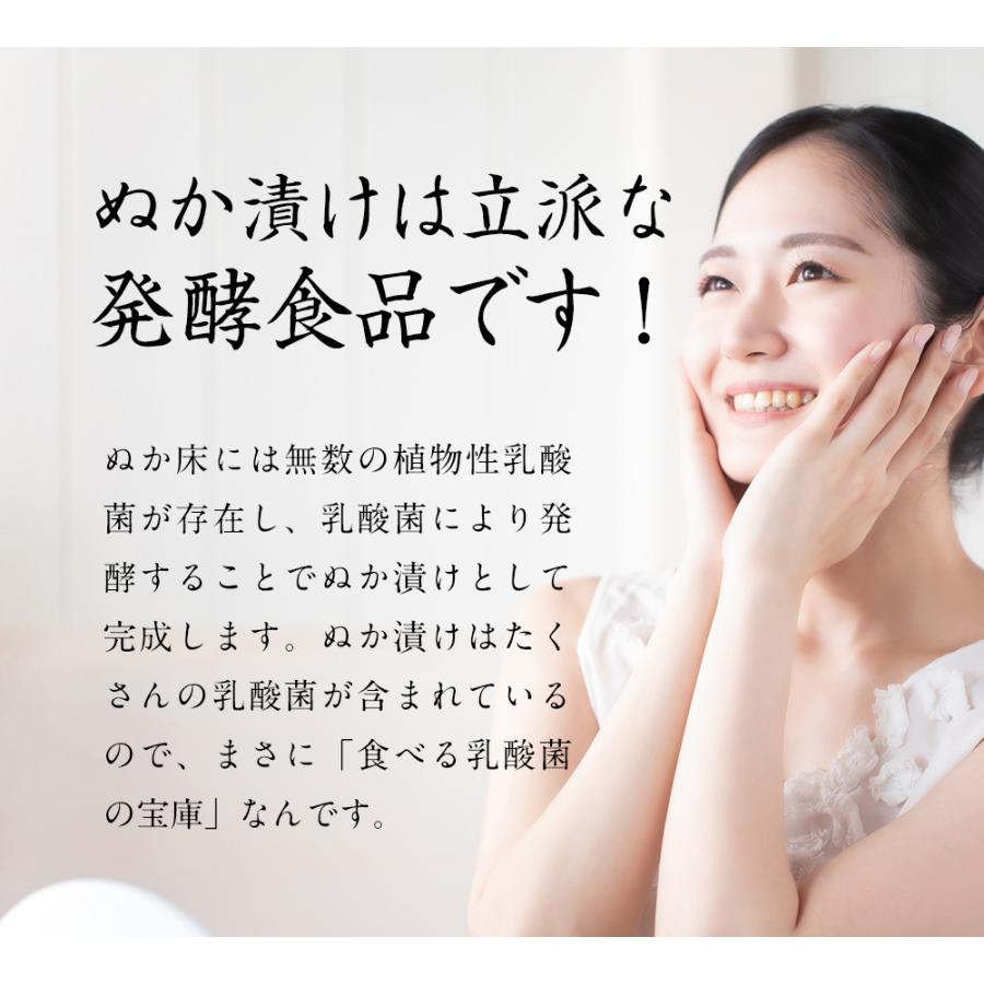 ぬか床 容器 ぬか床カンタンお試しセット 樽の味 漬物 国産原料 糠床 冷蔵庫 ぬか床容器 ぬか床 人気 おすすめ 爆買 | 樽の味 | 17