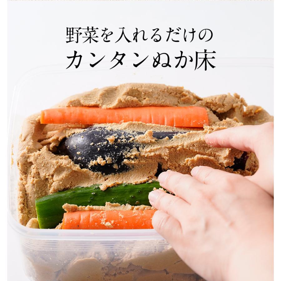 ぬか床 容器 ぬか床カンタンお試しセット 樽の味 漬物 国産原料 糠床 冷蔵庫 ぬか床容器 ぬか床 人気 おすすめ 爆買 | 樽の味 | 03
