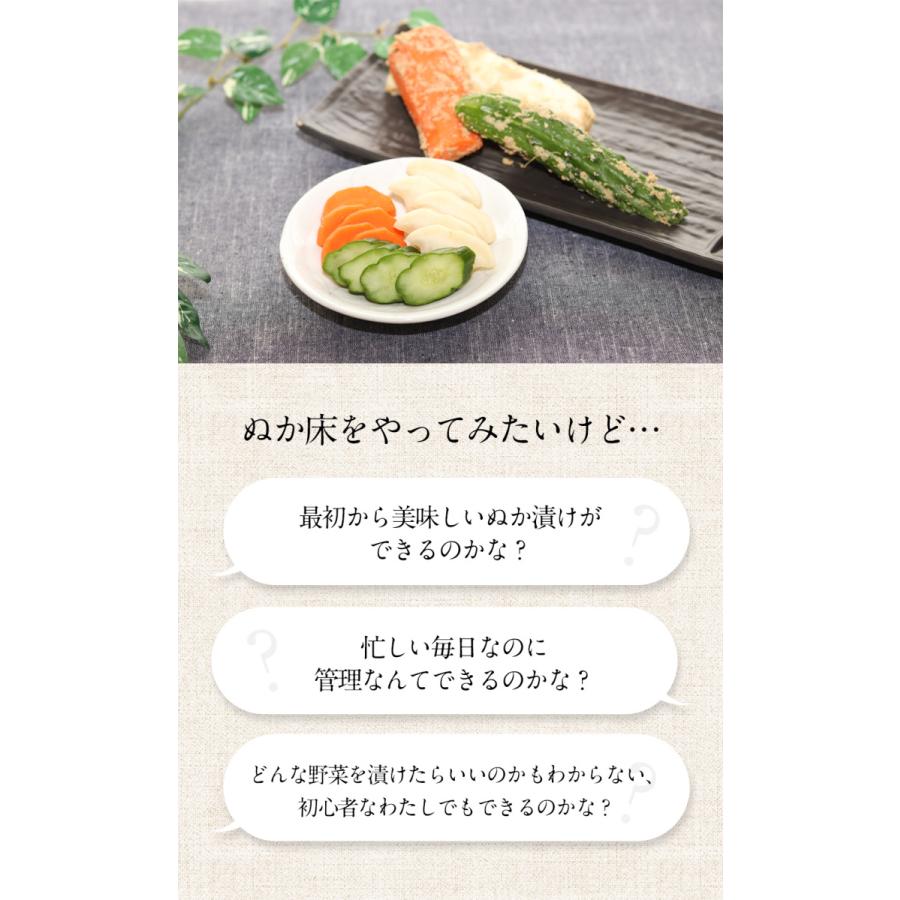 ぬか床 容器 ぬか床カンタンお試しセット 樽の味 漬物 国産原料 糠床 冷蔵庫 ぬか床容器 ぬか床 人気 おすすめ 爆買 | 樽の味 | 06