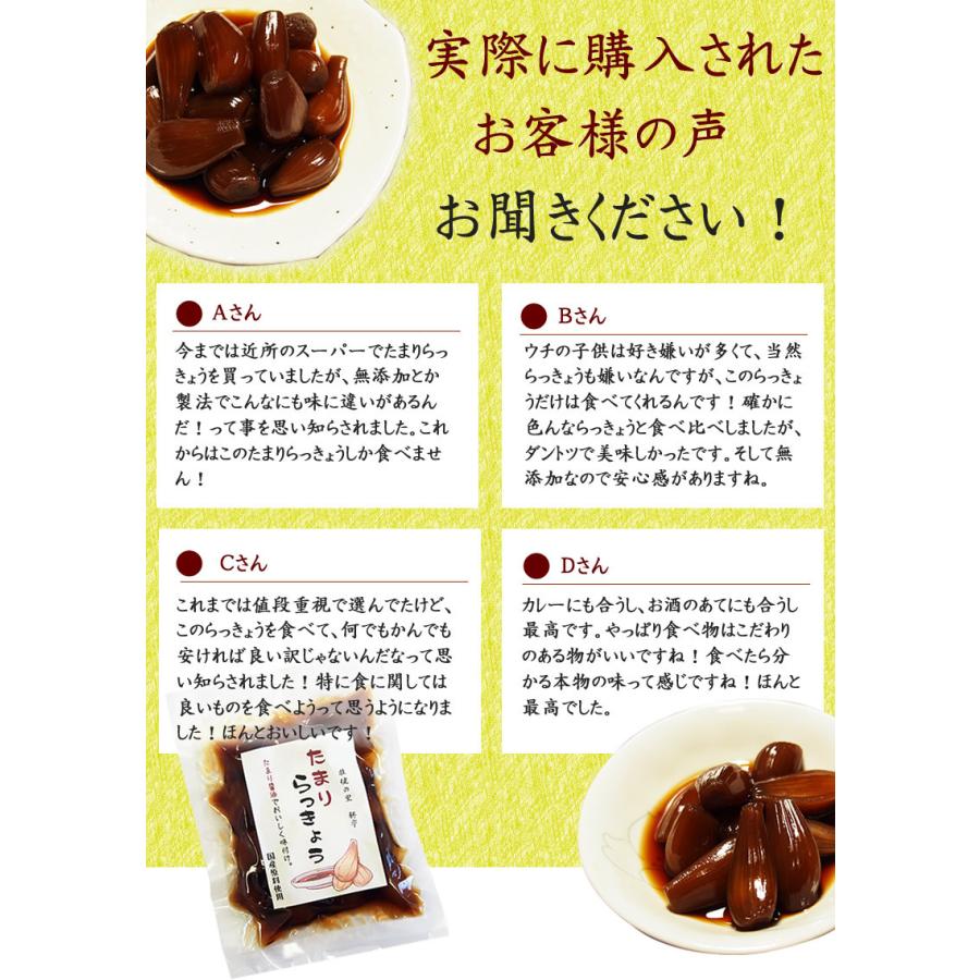 市場 送料無料 ぴり辛 国産 らっきょう 熟成 らっきょう漬け 漬物 90g 2袋セット 上沖産業