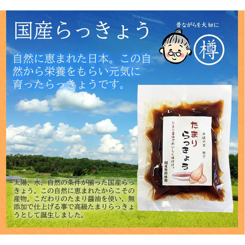 たまりらっきょう100g2袋セット らっきょう漬け 漬物 辣韮 柚子 無添加 人気 おすすめ Tamarirakkyou 1 無添加食品 発酵食品のお店 樽の味 通販 Yahoo ショッピング