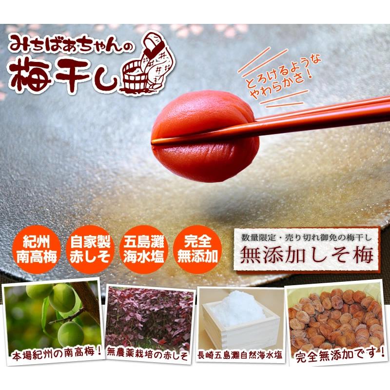 樽の味 梅干し 無添加『みちばあちゃんの梅干し「しそ梅」500g』 熱中
