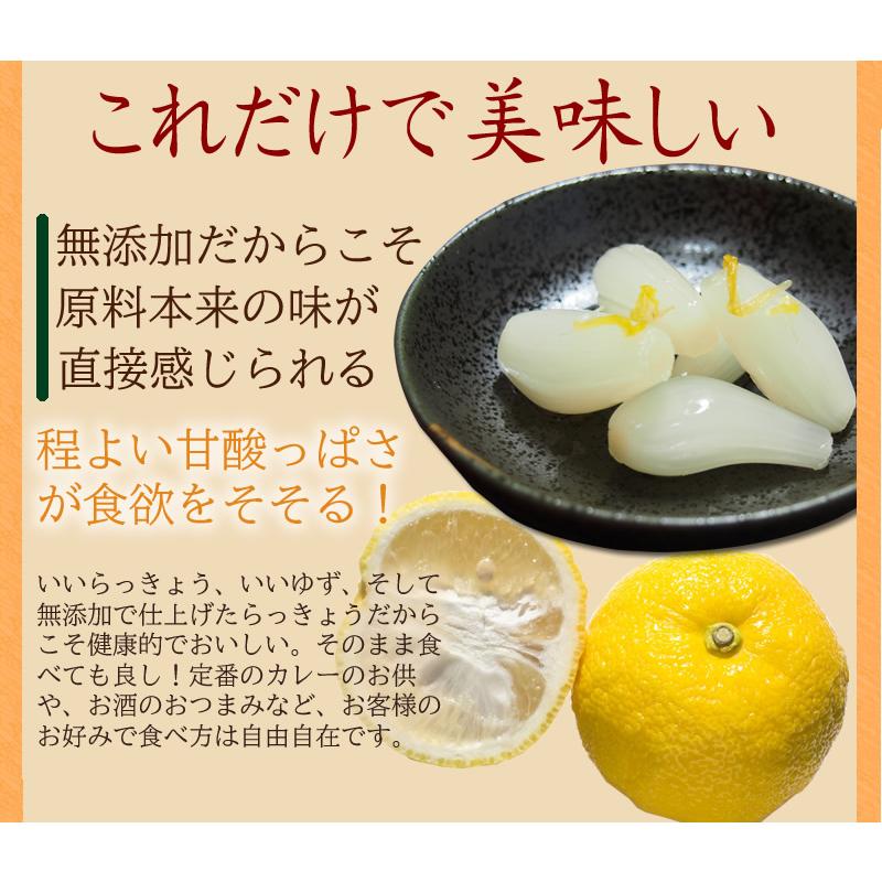 ゆずらっきょう100g2袋セット らっきょう漬け 漬物 辣韮 柚子 無添加 人気 おすすめ Yuzurakkyou 1 無添加食品 発酵食品のお店 樽の味 通販 Yahoo ショッピング