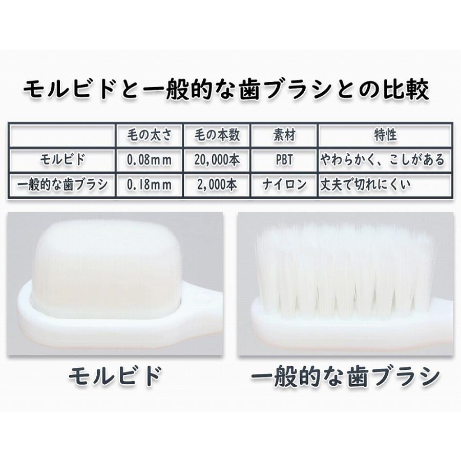 超極細毛 歯ブラシ モルビド やわらかめ 1本 太さ0.08mm 超 極細毛 2万本使用 ケース付き 歯ぐき に やさしい 歯肉 マッサージ    やわらか 歯周病対策｜tarutaru-ga｜05