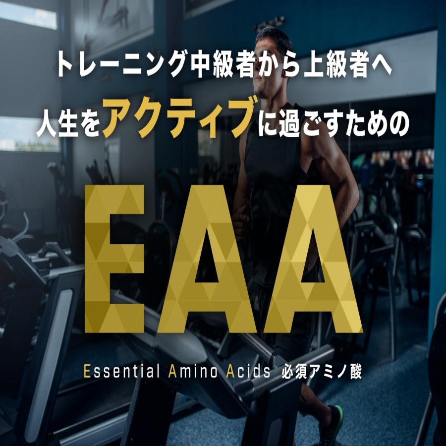 TARZA（ターザ） EAA カプセル 520粒入 約130回分 無香タイプ 甘味料着色料 不使用 国産 アミノ酸 サプリメント 錠剤｜tarza｜05