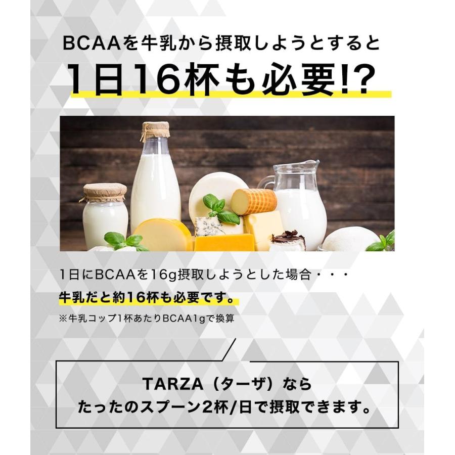 TARZA（ターザ） BCAA レモンライム風味 500g クエン酸 パウダー 約40杯分 アミノ酸  サプリ｜tarza｜10