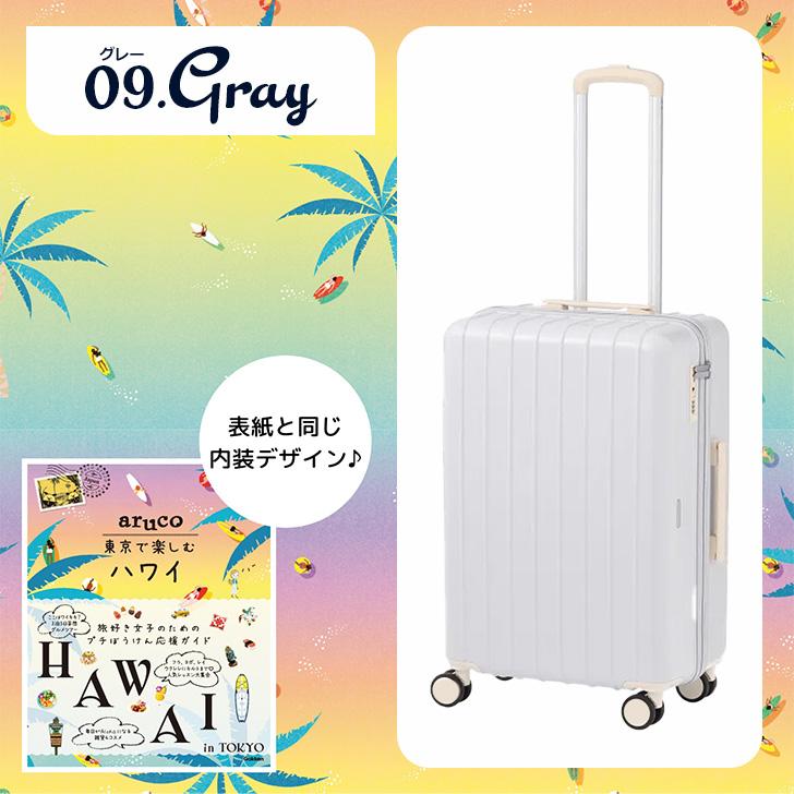 World Traveler ワールドトラベラー エース arucoスーツケース 05283 L