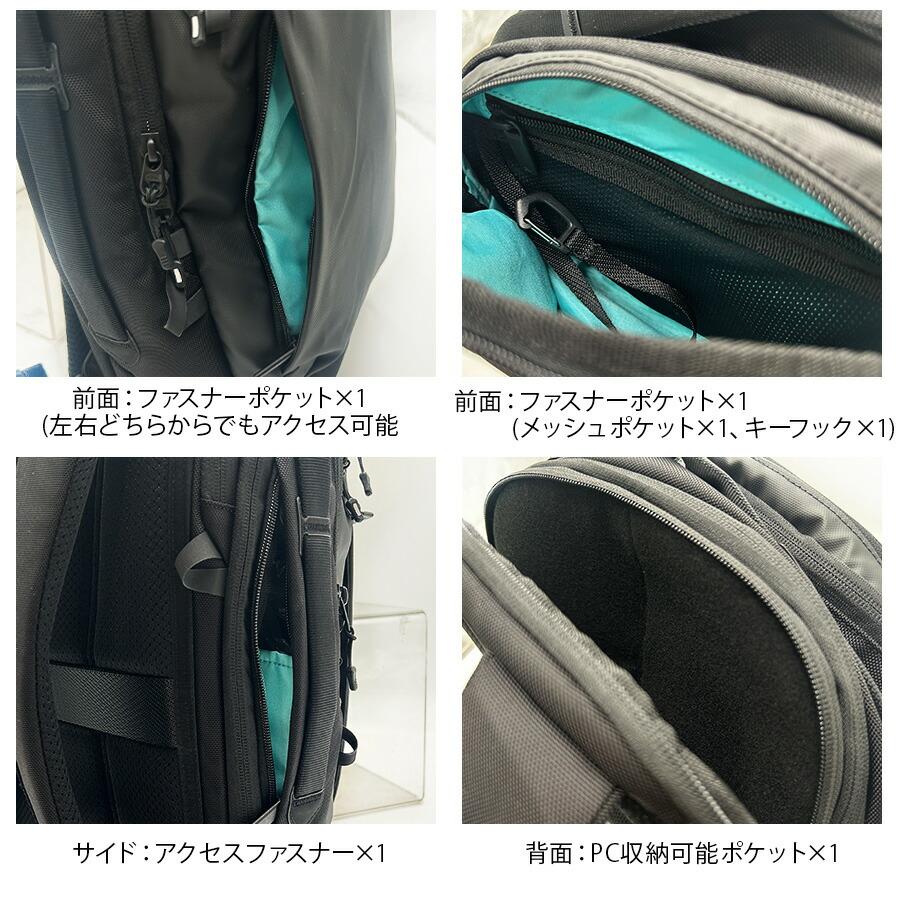 レア産地　北米産　グリーンメタリックなコクヌスト？ Ace（エース） 【ace.GENE】68321 ラグレンティス リュック 17-20L