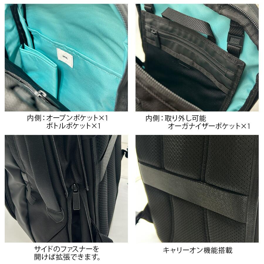 レア産地　北米産　グリーンメタリックなコクヌスト？ Ace（エース） 【ace.GENE】68321 ラグレンティス リュック 17-20L