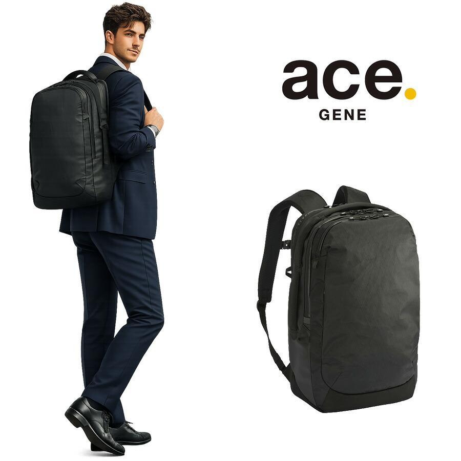 ハーゲン ナッツ ace ビジネスリュック ACE エース ビジネスリュック ブラック 10617-01 なら 全ギフト一覧