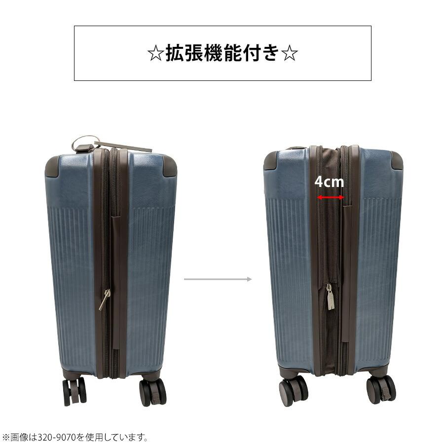 エリザベス　キャリーバック　未使用　レア ace. 送料無料 正規品 スーツケース 機内持ち込み TOKYO リエント−Z