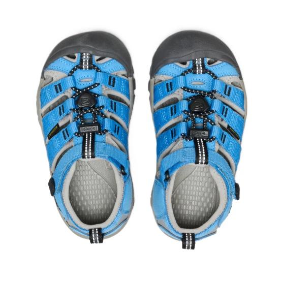 KEEN リトルキッズ ニューポート エイチツー サンダル  1032139 NEWPORT H2 Azure Blue/Drizzleの画像