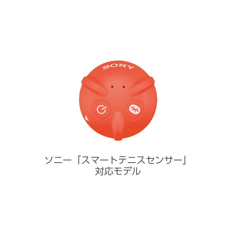 DUNLOP（ダンロップ） 国内正規品 フレームのみ テニスラケット FX500