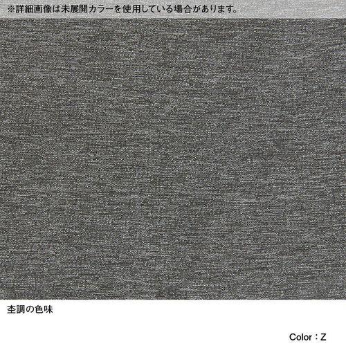 THE NORTH FACE（ザ ノースフェイス） エイペックスフレックス