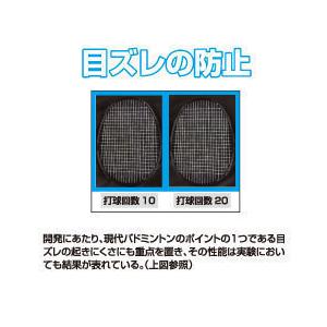 TOALSON（トアルソン） バドミントンストリング ION65 100Mロール