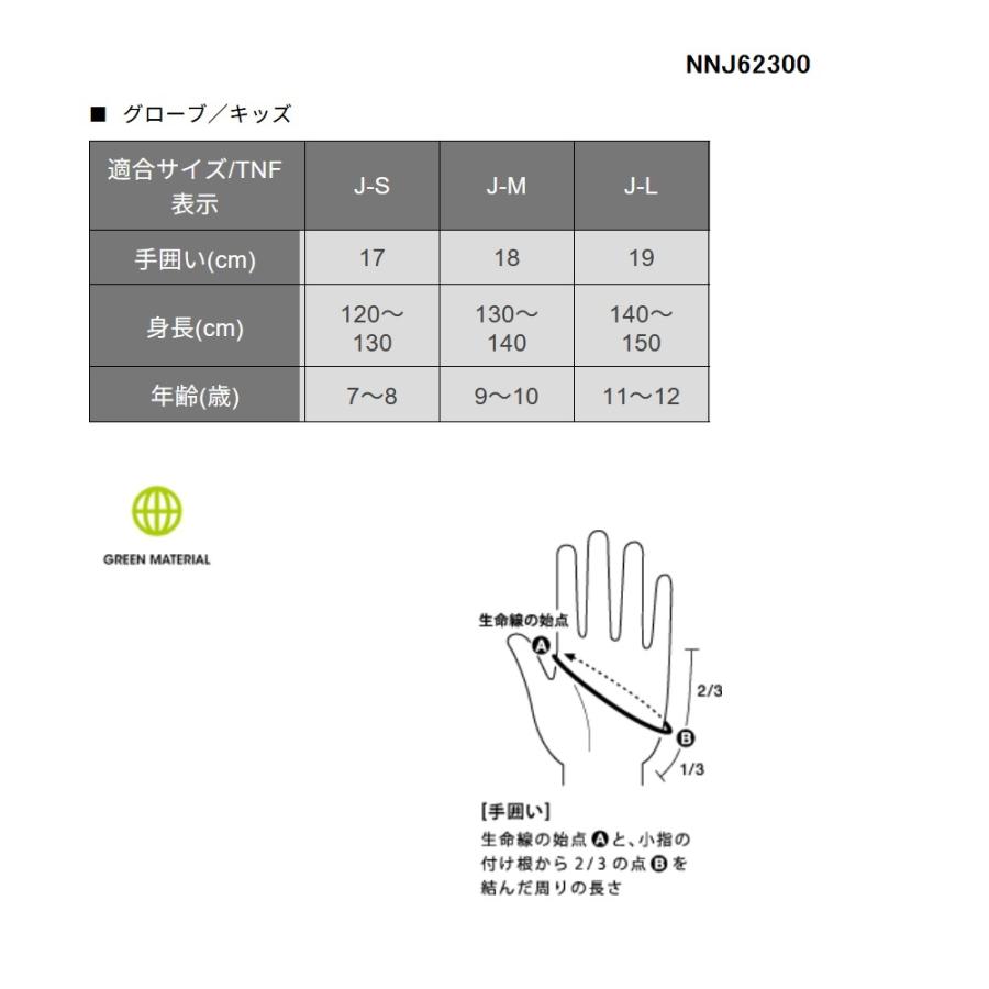 THE NORTH FACE（ザ ノースフェイス） マイクロフリースグローブ