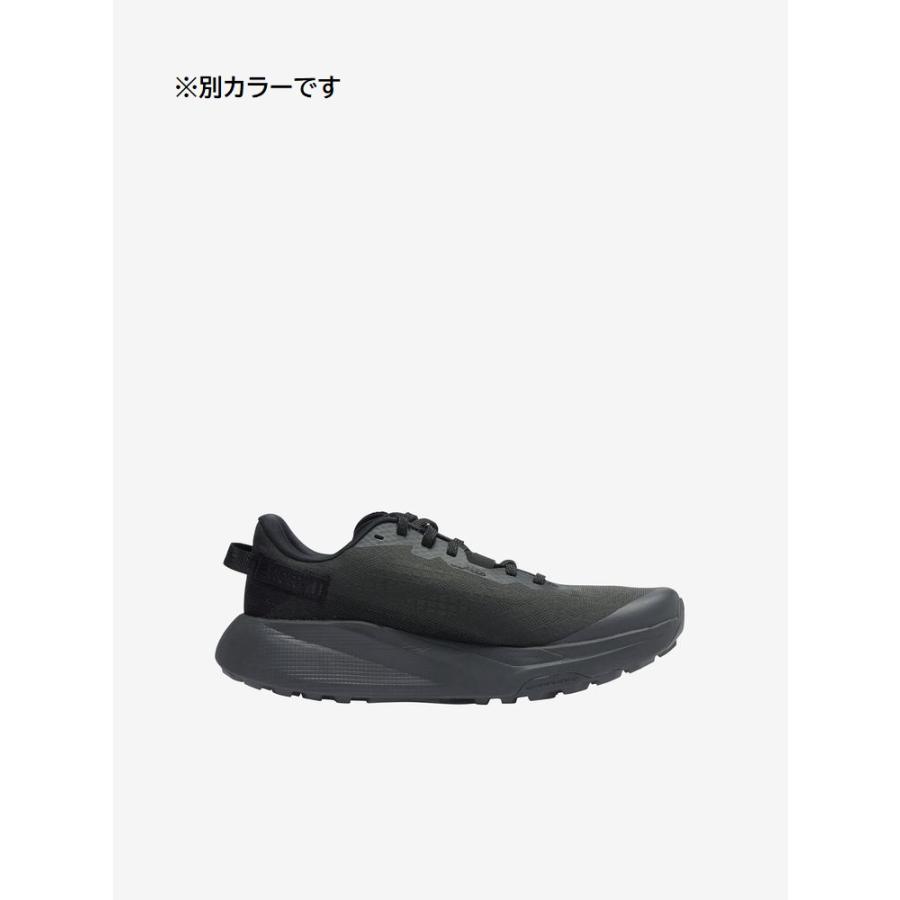 THE NORTH FACE（ザ ノースフェイス） アルタメサ 300（メンズ