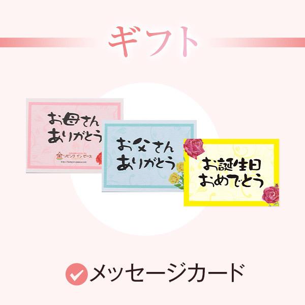 抱き枕 Lサイズ 癒し抱き枕北欧柄カバー付 大きい  妊婦 腰痛  抱き枕特集の画像