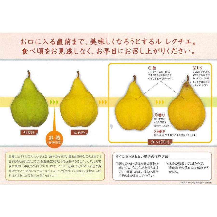 予約受付中11月日 順次発送 ルレクチェ 新潟 B品 2kg 6個入り ご家庭用 茶箱梱包 高橋農園 Rurekuche B テイストジャパン 通販 Yahoo ショッピング