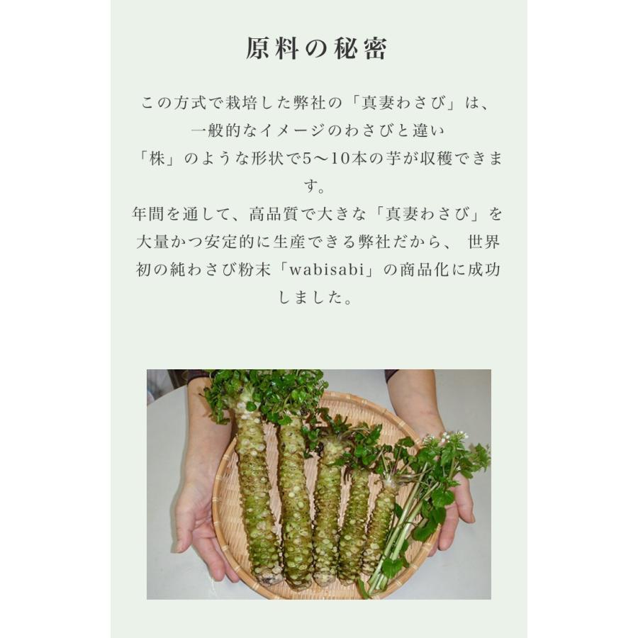 わさび 粉 糸魚川 真妻わさび 100 純わさび粉末 Wabisabi 山葵粉末 10g 海外みやげ Wasabi テイストジャパン 通販 Yahoo ショッピング