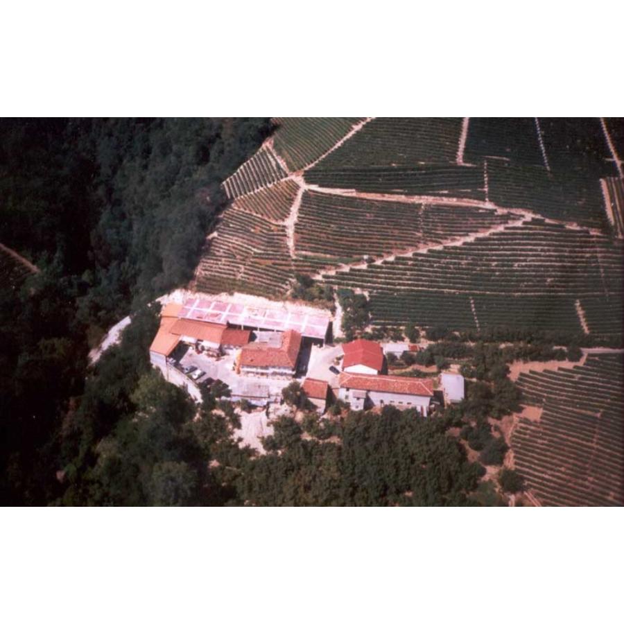 ランゲ アルネイス スレイ 2024 ロベルト サロット 白 750ml 15900円以上で送料無料 |  | 02