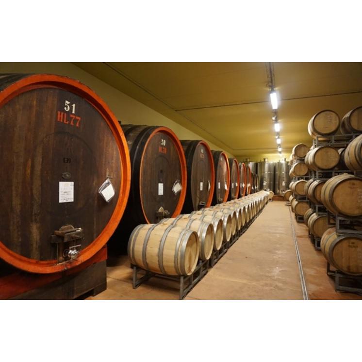 ランゲ アルネイス スレイ 2024 ロベルト サロット 白 750ml 15900円以上で送料無料 |  | 04