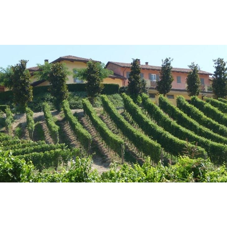 グレジィ シャルドネ ランゲ 2018 テヌーテ チーザ アジナーリ マルケージ ディ グレージ 白 750ml 15900円以上で送料無料 |  | 02