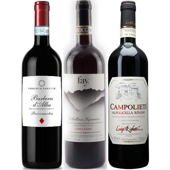 ソムリエ厳選 北イタリア 赤ワイン お試しセット 大切な 3本 海外輸入