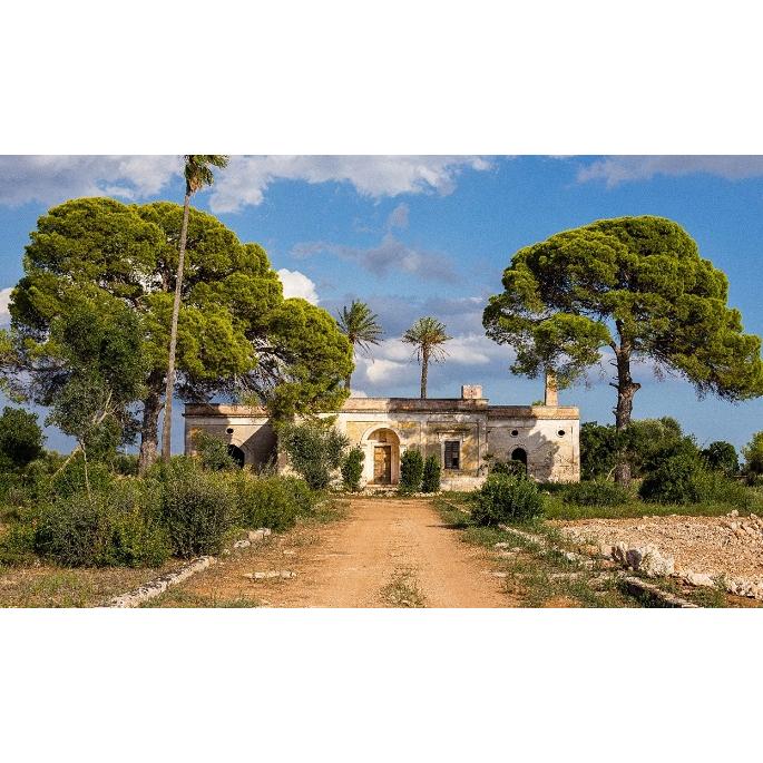 ローズィ ヴィーノ スプマンテ ロザート 2023 マスカ デル タッコ 泡 ロゼ 750ml 15900円以上で送料無料 |  | 03