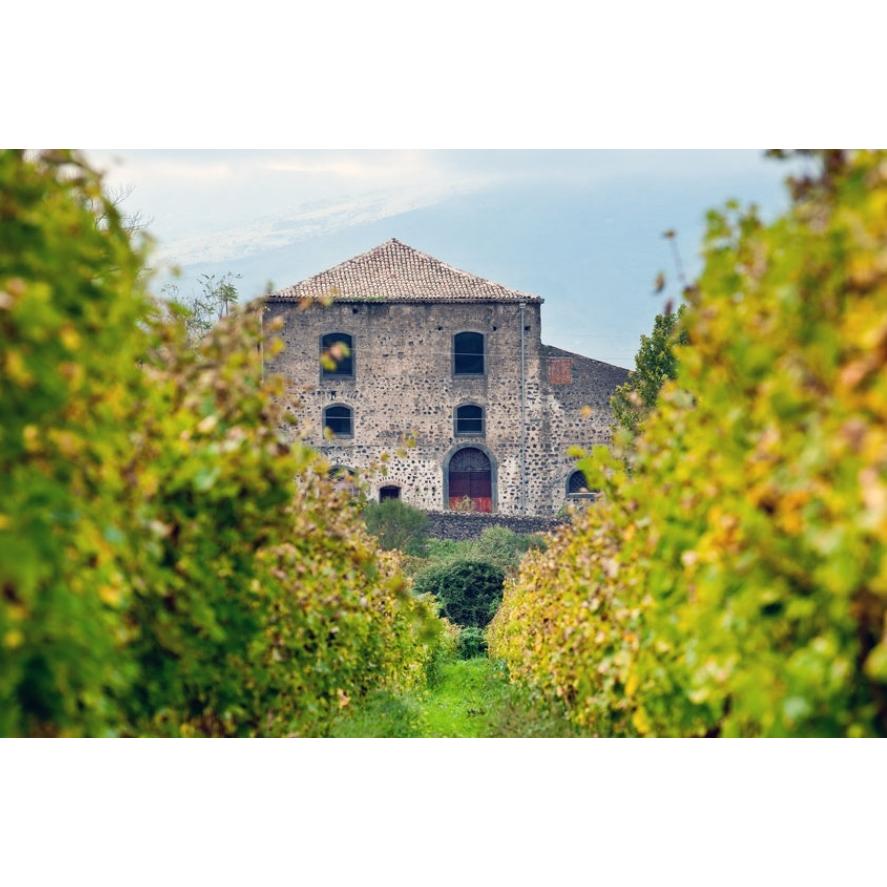 クオタ 1000 バルバベッキ シチリア ロッソ 2014 グラーチ 赤 750ml 赤 Rosso