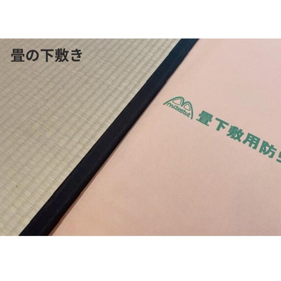 爆買】日本製 防カビ 防虫 防ダニ シート 約100x200cmx2枚（2帖分