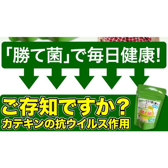ウイルス対策 緑茶でうがい勝て菌  30g×3袋メール便セットインフルエンザ予防お茶うがい｜tateishien｜06