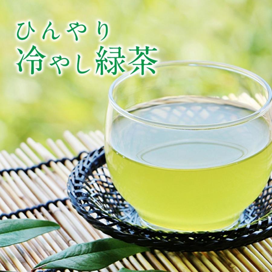 ひんやり冷やし緑茶100g 水出しに最適 旨み凝縮の濃い煎茶を楽しめます Hiyasiryokucya お茶のたていし園 通販 Yahoo ショッピング