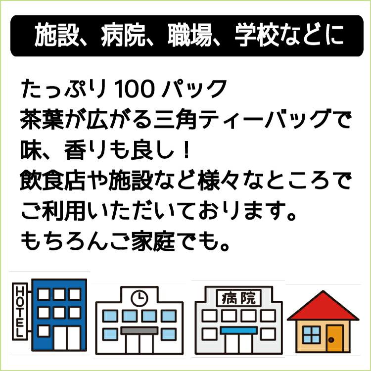 緑茶ティーパック　5ｇ×100P（5ｓ-100）を3袋セットで 送料無料  業務用｜tateishien｜03