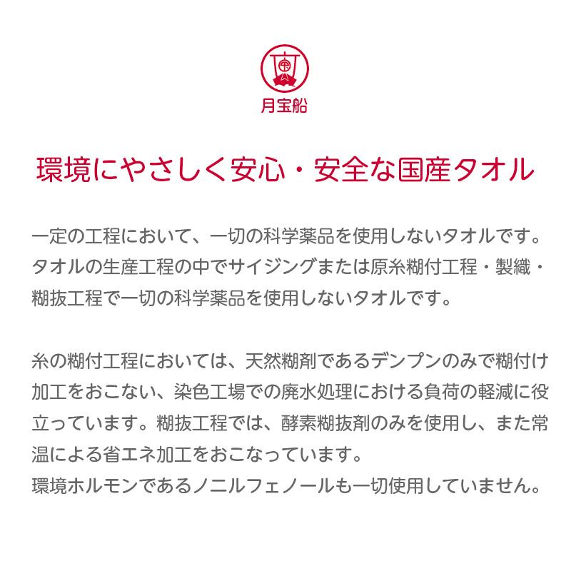 フェイスタオル 日本製 【1枚組】白タオル 月宝船 ソフティ240 フェイスタオル 日本製 【1枚組】白タオル 月宝船 ソフティ240