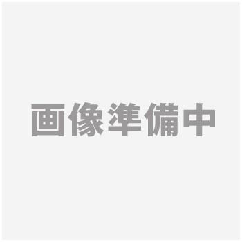 【法人限定：代引不可】 アイカーゴ SIC-P3