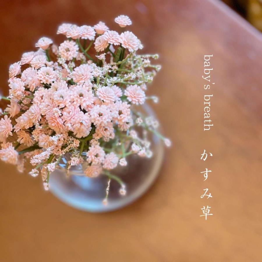 かすみ草 造花 フェイク 3本入り リアル かわいい シンプル ピンク 小花 可憐 人気 インテリア 春 ディスプレイ Fm0039 002 5040 Five Thousand Forty 通販 Yahoo ショッピング