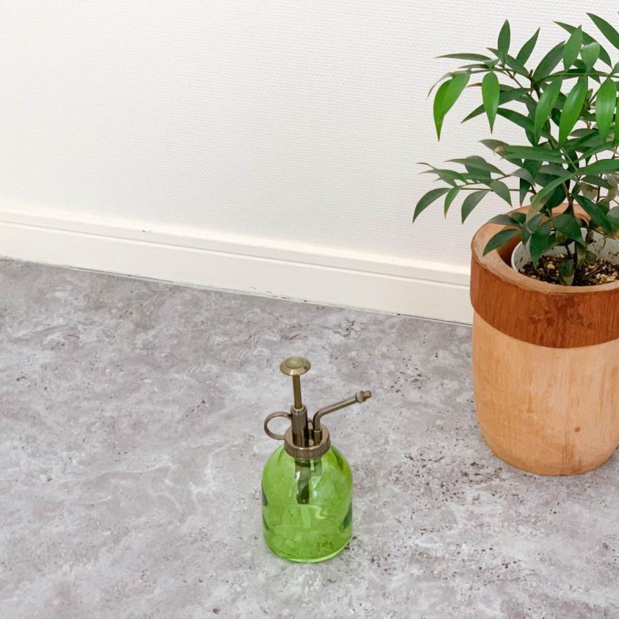 霧吹きスプレー 霧吹き 水やり スプレー 人気 おしゃれ 観葉植物お手入れ 葉っぱ水やり 安い散水 植物 ガラス ボタニカル ガラススプレイヤー Gr Py 702 Gr 5040 Five Thousand Forty 通販 Yahoo ショッピング