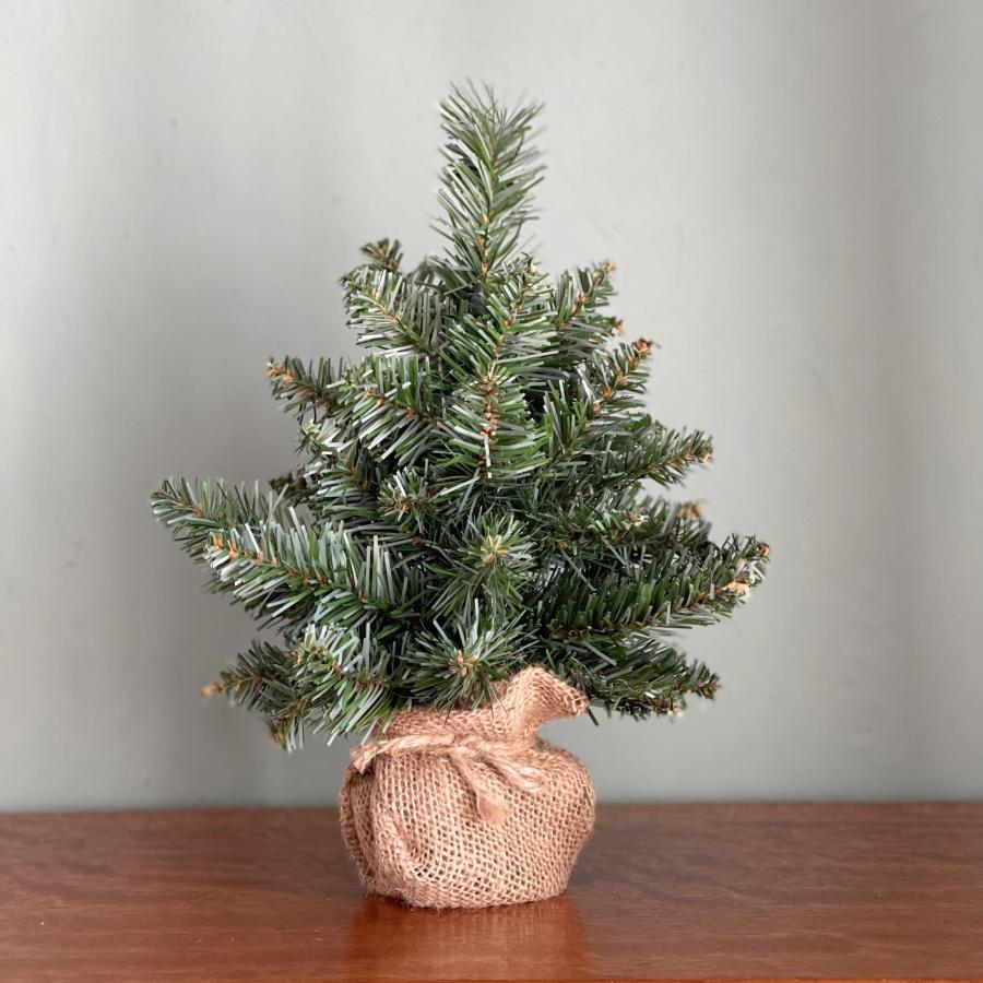 クリスマスツリー 小さい 小さめ 卓上 小さなツリー ミニサイズ