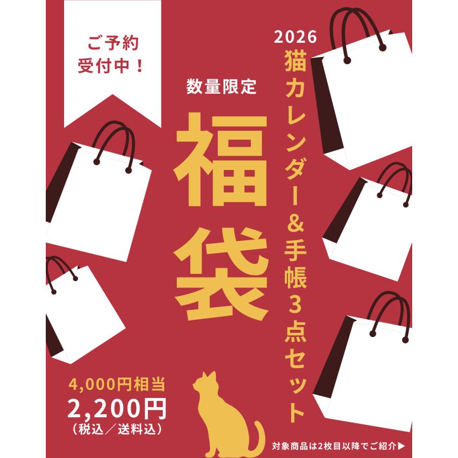 数量限定】新春福袋！辰巳出版の猫の2026年カレンダー・手帳【送料無料