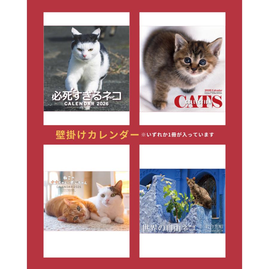 数量限定】新春福袋！辰巳出版の猫の2026年カレンダー・手帳【送料無料