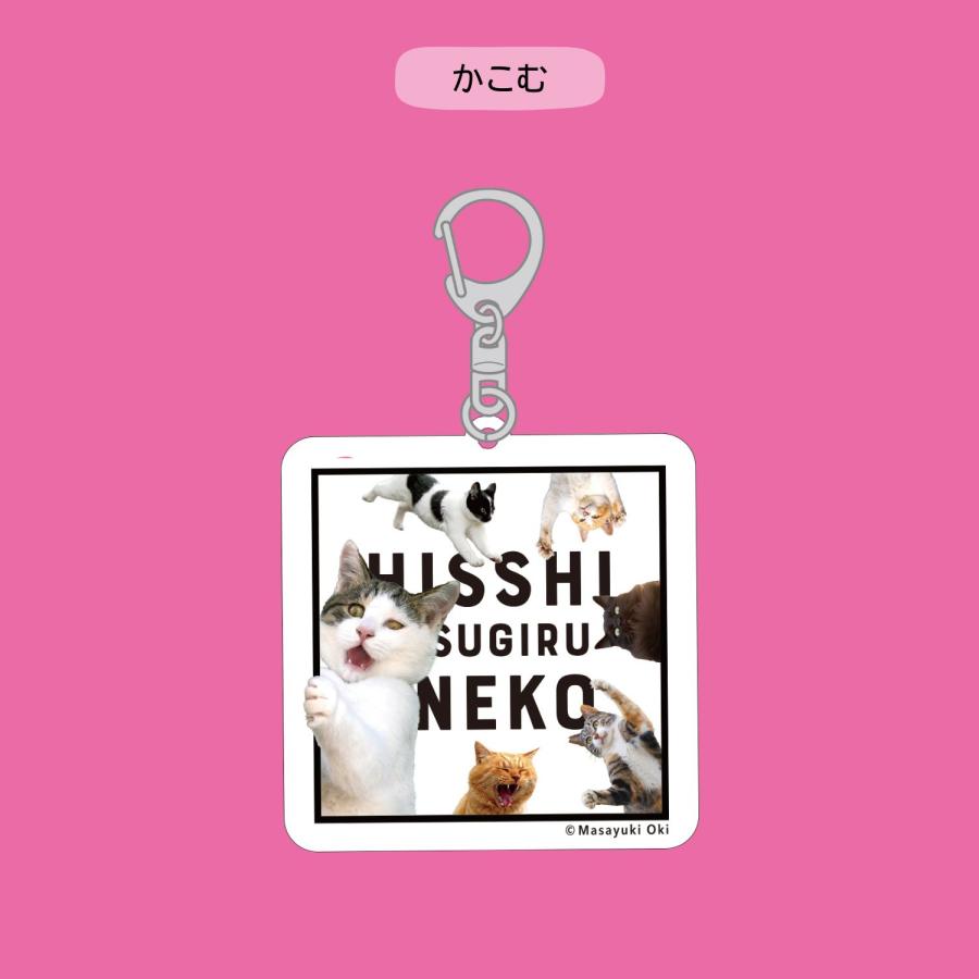 アクリルキーホルダー】『必死すぎるネコ』公式グッズ : Tatsumi Nest